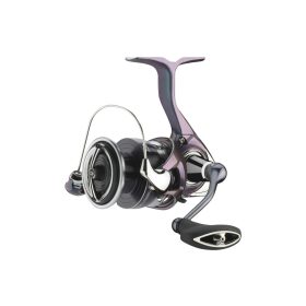 Daiwa 24 Regal LT 2000D-XH
6BB