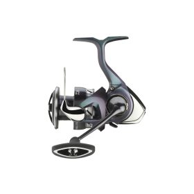 Daiwa 24 Regal LT 4000D-CXH
6BB