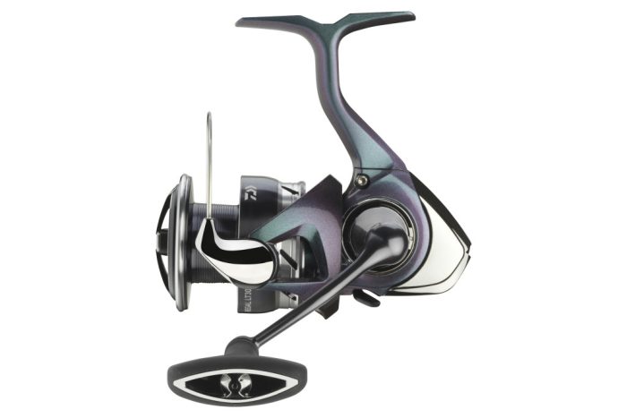 Daiwa 24 Regal LT 5000D-C
6BB