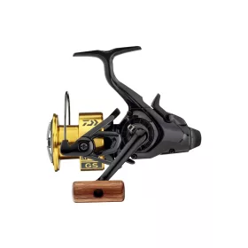Daiwa 20 GS BR LT 4000-C
4BB 150/0.28