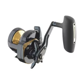Daiwa 24 Saltiga L 15
8BB