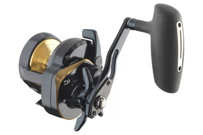 Daiwa 24 Saltiga L 15
8BB