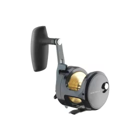 Daiwa 24 Saltiga L 15
8BB