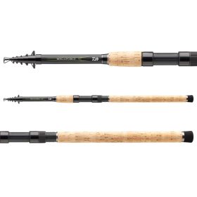 Daiwa Megaforce Tele 300TH
7sct 40-90g 3.00m