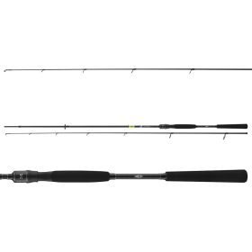 Daiwa Prorex X Spin 902H
2sct 40-100g 2.70m