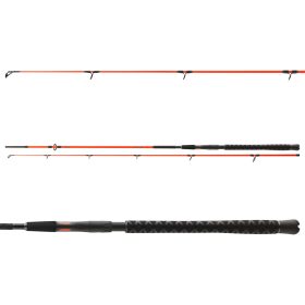 Daiwa Sealine Pilk 902MH
2sct 40-100g 2.70m