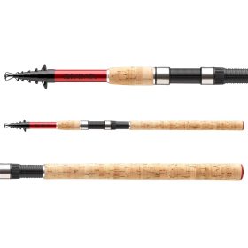 Daiwa Sweepfire Tele Spin 1007TH
7sct 40-90g 3.00m