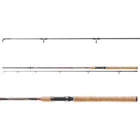Daiwa Sweepfire Spin 1002H
2sct 40-100g 3.00m