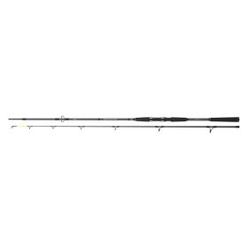 Daiwa Seahunter X Pilk Mackerel 862H
2sct 60-180g 2.60m