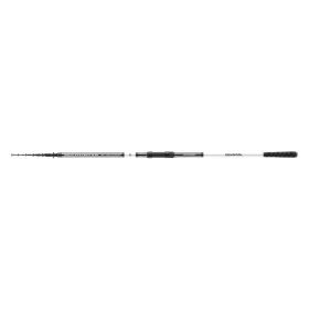 Daiwa Seahunter X Tele Surf 396MH
6sct 60-180g 3.90m