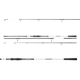 Daiwa Seahunter X Surf 423H
3sct 100-250g 4.20m