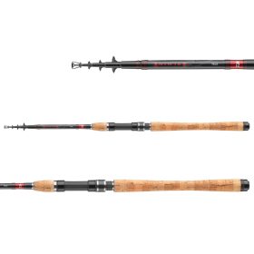 Daiwa Ninja X Tele Spin 1007MH
7sct 20-60g 3.00m