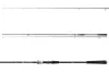 Daiwa Exceler Sea Trout 1062MH
2sct 15-40g 3.15m