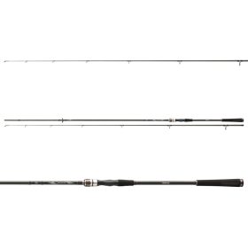 Daiwa Exceler Sea Trout 1062MH
2sct 15-40g 3.15m