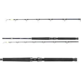 Daiwa Tanacom Ultra Deep 702XXH
2sct 400-1000g 2.10m