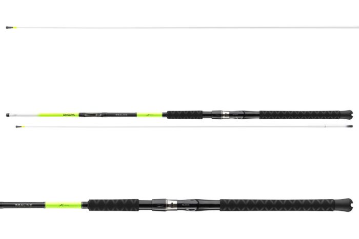 Daiwa Sealine X'Treme Interline Light 762MH
2sct 100-250g 2.25m