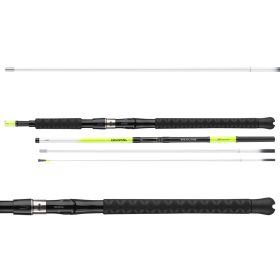   Daiwa Sealine X'Treme Interline Light 764MH
4sct 100-250g 2.25m