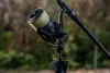 Daiwa Daiwa Super Spod 2500
2sct 5.00lb 3.60m