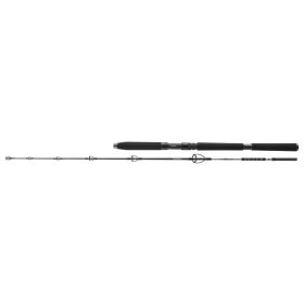 Daiwa BG Sea Jigger 562XXH
1+1sct 150-400g 1.70m