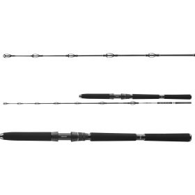 Daiwa BG Deep Sea 5102XXH
1+1sct 100-300g 1.75m