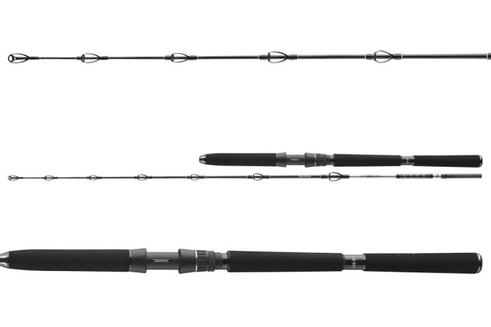 Daiwa BG Deep Sea 5102XXH
1+1sct 100-300g 1.75m