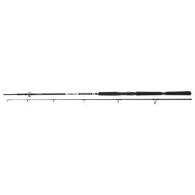 Daiwa BG Offshore Pilk 702H
2sct 40-125g 2.10m