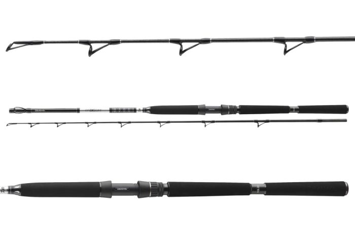 Daiwa BG Deep Sea 742XXH
2sct 150-400g 2.20m