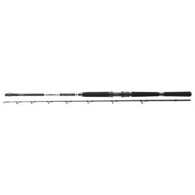 Daiwa BG Deep Sea 742XXH
2sct 150-400g 2.20m