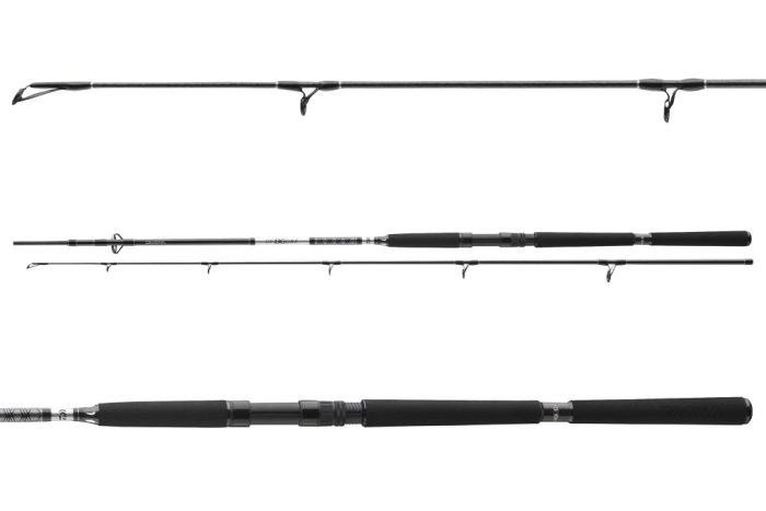 Daiwa BG Offshore Pilk 802XH
2sct 50-165g 2.40m