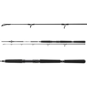 Daiwa BG Offshore Boat 802XXH
2sct 150-400g 2.40m