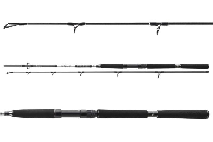 Daiwa BG Offshore Boat 802XXH
2sct 150-400g 2.40m