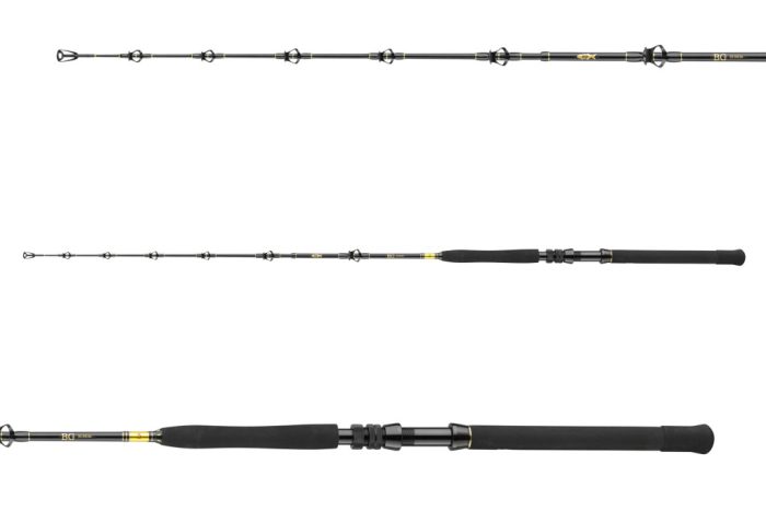 Daiwa BG Big Game 563XXXH
3sct 30-50lb 1.68m