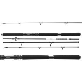 Daiwa BG Offshore Travel 764XXXH
4sct 150-500g 2.25m