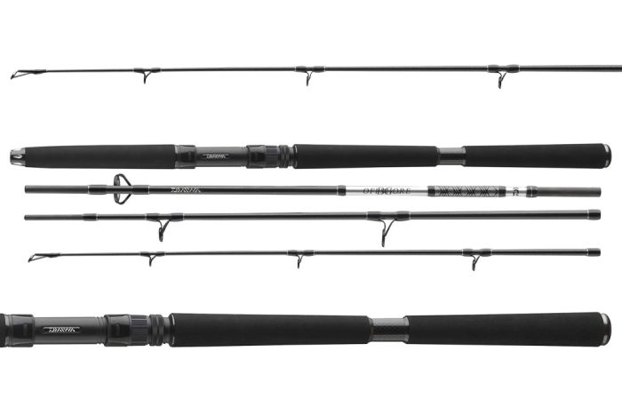 Daiwa BG Offshore Travel 804XH
4sct 50-200g 2.40m