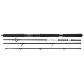 Daiwa BG Offshore Travel 804XH
4sct 50-200g 2.40m