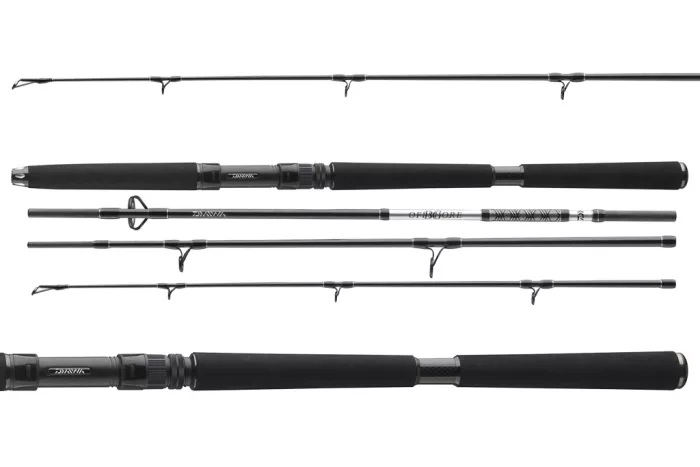 Daiwa BG Offshore Travel 904XH
4sct 50-200g 2.70m