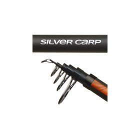 CARP EXPERT SILVER CARP POWER TELE  50-150G 3,30M
