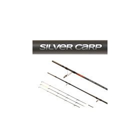   CARP EXPERT SILVER CARP HEAVY FEEDER 3+3 SEC., 100-200G, 3,60M