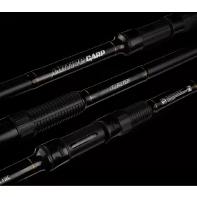 NEVIS Motive Carp 300 3lb 2r