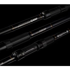 NEVIS Motive Carp 360 3,5lb 3r