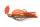 Daiwa Prorex Micro Bladed Jig
muddy orange 8.0g 1db