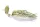 Daiwa Prorex Micro Bladed Jig
dirty roach 8.0g 1db