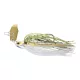 Daiwa Prorex Micro Bladed Jig
dirty roach 8.0g 1db