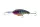 Daiwa Prorex Fuku Hayate Crank
blue tiger 55mm 7.0g 1db