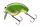 Daiwa Prorex Fuku Zero Crank
special chartreuse 54mm 14.0g 1db