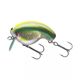 Daiwa Prorex Fuku Zero Crank
yummi 54mm 14.0g 1db