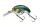 Daiwa Prorex Fuku 1 Crank
special shiner 55mm 14.5g 1db