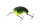 Daiwa Prorex Chibi Fuku Fuku Crank
firetiger 41mm 6.5g 1db