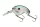 Daiwa Prorex Chibi Fuku Fuku Crank
gizzard shad 41mm 6.5g 1db