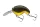 Daiwa Prorex Chibi Fuku Fuku Crank
black gold 41mm 6.5g 1db